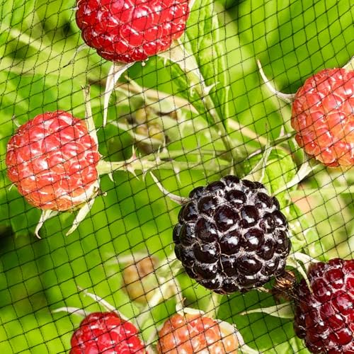 XMdeliverReach Koi Fish Pond Netting Shield 20ft x 30ft, Black Heavy Duty Pool Leaf net Cover, Protects Garden Pond from Heron,Birds,Cats & Predators Away, Durable & Stakes Included (Black) by XMdeliverReach - Used condition - Image 6