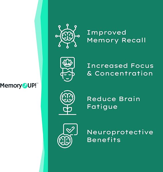 MemoryUP! Sea Scallop-Derived Plasmalogen Supplement for Brain & Cognitive Support, Memory, Focus and Antioxidant Neuro-Support, Ideal for Seniors, Adult Men & Women, 60 Count
