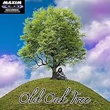  Old Oak Tree