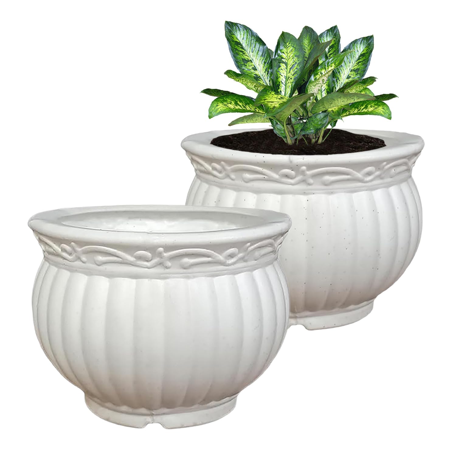 See full amazon price history chart for Kuber Industries Kanha Matki Flower Pot | Flower Planter Pots for Indoor & Outdoor | Pot for Garden & Balcony Flowering | 8 Inch | Pack of 2 | White Kuber Industries Kanha Matki Flower Pot | Flower Planter Pots for Indoor & Outdoor | Pot for Garden & Balcony Flowering | 8 Inch | Pack of 2 | White (B0CW5XVQ3N) Amazon Price History, Amazon Price Tracker
