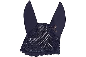 Achieve a Dazzling Dive with Hood Jewel - Classic Sports