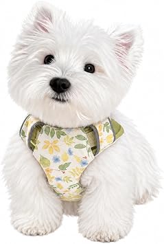 Adjustable Floral Dog Vest Harness with Leash for Small & Medium Dogs S