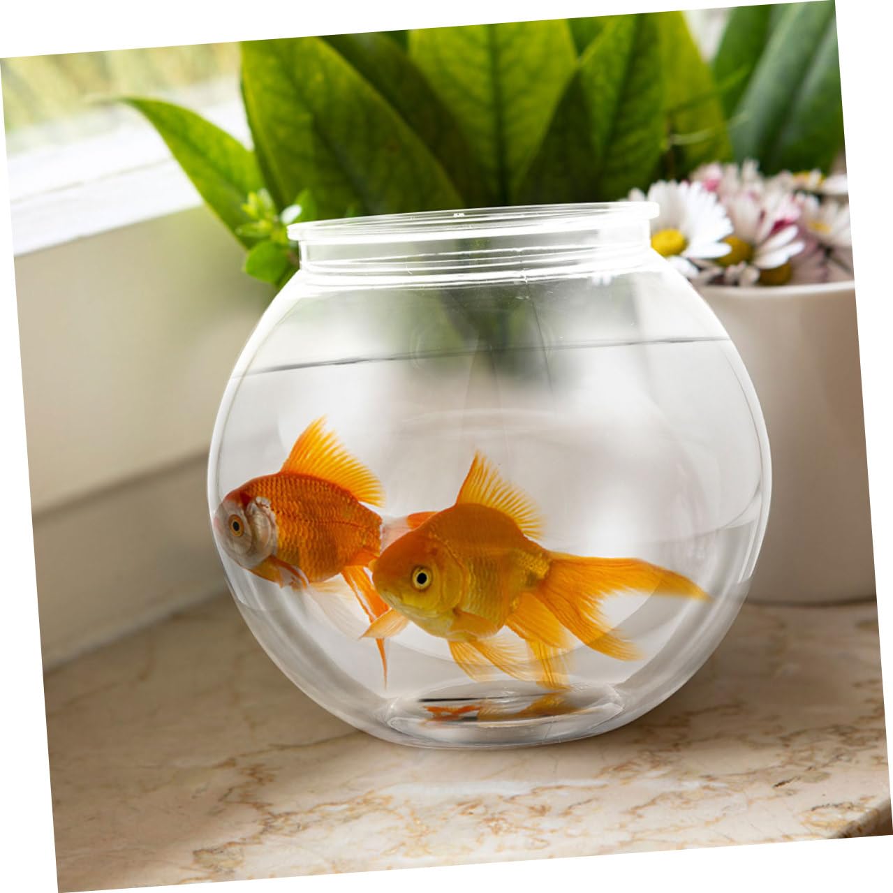 Rundes Kunststoff Fischglas Transparent, Kippsicher für Zuhause und Büro