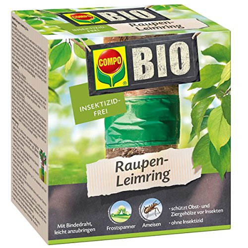 Preisvergleich Produktbild COMPO BIO 'Raupen-Leimring', 3 m