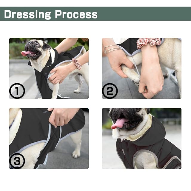 Foto 5 de 6 de Etechydra Impermeable Chaqueta Abrigada para Perros, Reflectante Abrigo para Perro con Sombrero Desmontable