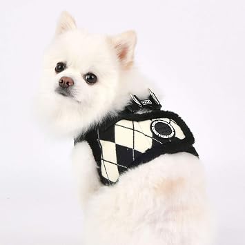 Jaden Harness B - Black - S