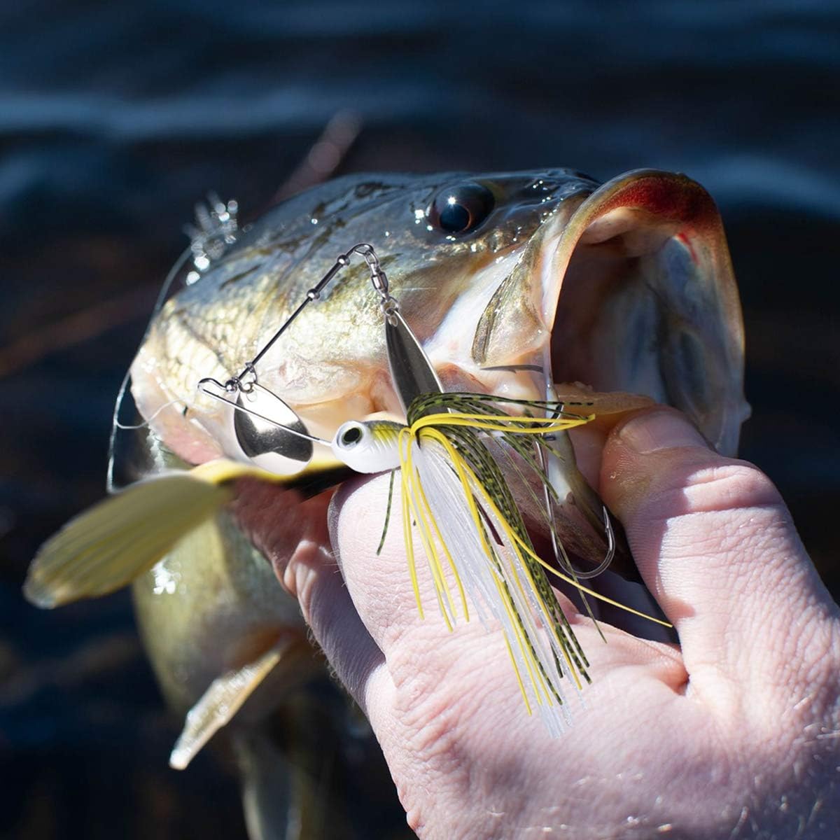 Goture Spinner Baits for bass Fihsing Lures Spinnerbait Blade igs Lures Freshwater Saltwater Rooster Tail for Salmon Pike Trout Walleye 1/2oz : Sports & Outdoors