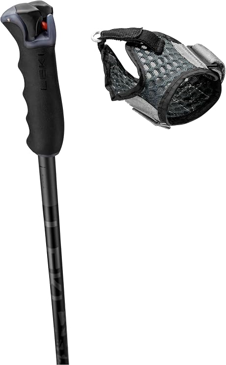 LEKI Detect S Ski Poles