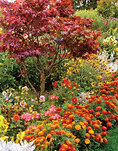 Northwest Home Landscaping, 3rd Edition: Including Western British Columbia (Creative Homeowner) 48 Designs with Over 200 Plants & Flowers Best Suited to the Pacific Northwest: WA, OR, and BC, Canada - Image 3