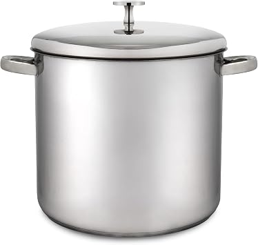 MasterClass MCSTPOT20 Induction-Safe Stainless Steel Stock Pot with Lid, 5.5 Litre, Silver