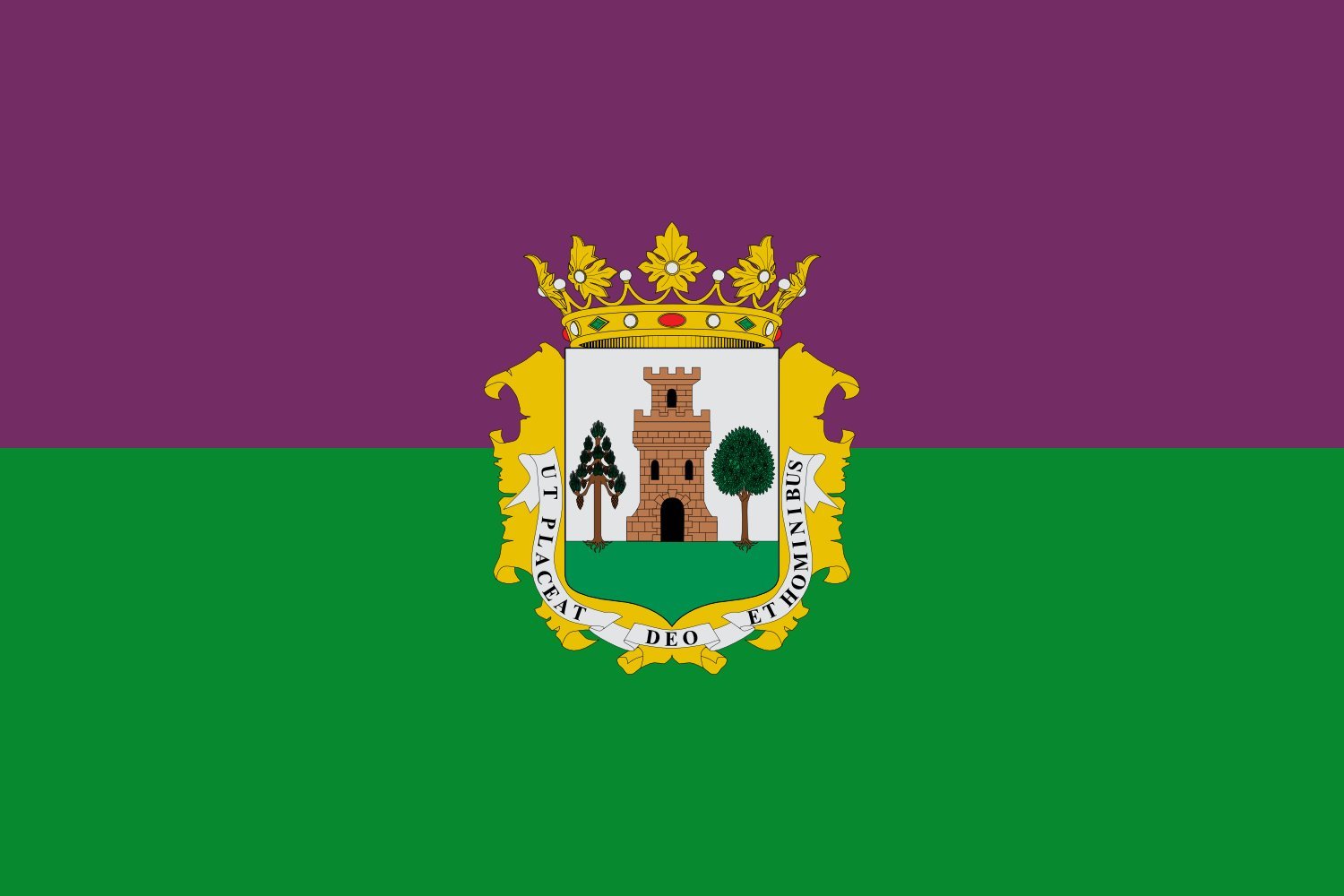 Drapeau de Plasencia grand format pour les mairies et bâtiments officiels de la commune