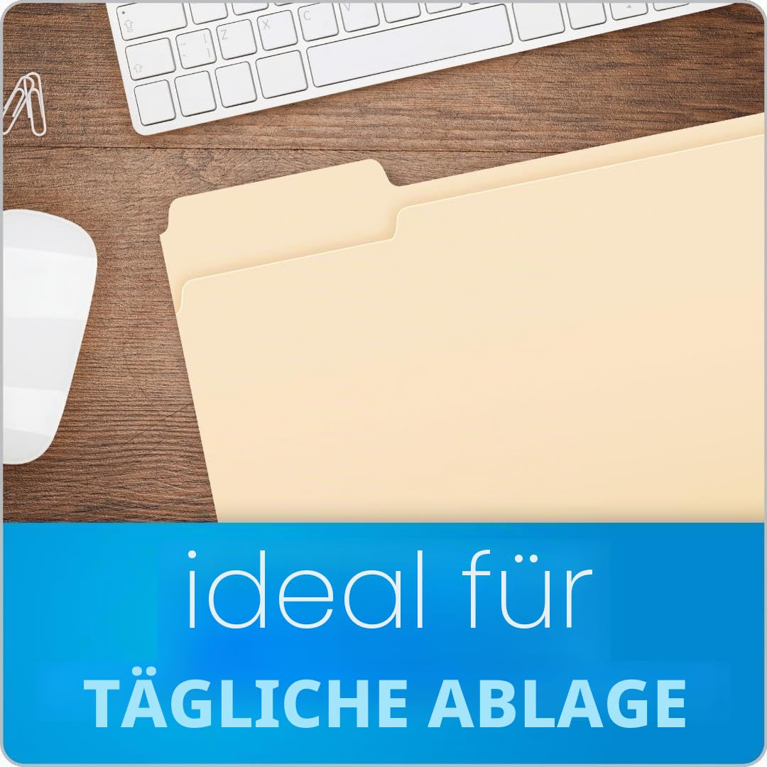 Pendaflex Datei Ordner, 1/3 Tab, Manila, Letter-Format, 100 Pro Box (65213)