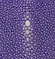 Amazon | BAHARI バハリ ガルーシャ スティングレイ エイ革 ミニ財布