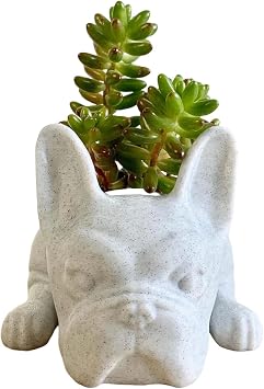 Puppy Succulents,French Bulldog Flower Box Holder - Resin Pot for Indoor Plants, Modern Decorative Planter Pot for Houseplants, Desk, Bedside, Cabinet Koyoyo