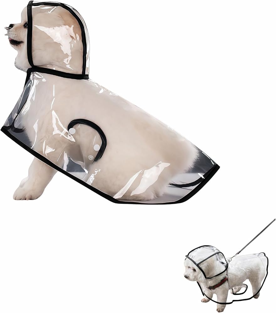 King Charles Spanielsdog Raincoats