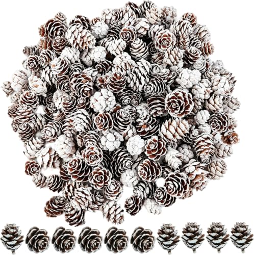 TIHOOD 160PCS Christmas Natural Mini Pine Cones Small Xmas Snow Pinecones-Thanksgiving Pine Cones Ornaments for DIY Crafts, Home Decorations,Fall and Christmas,Wedding Decor