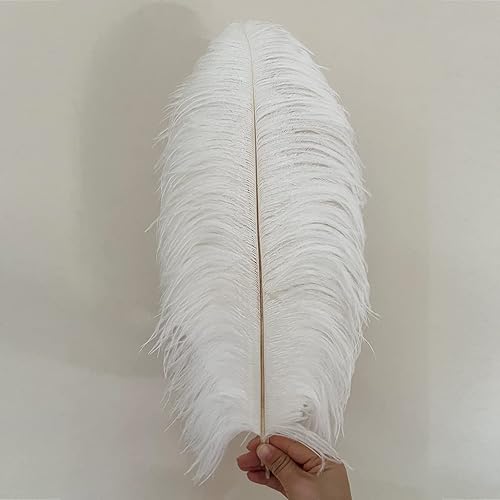 Miniatura 3 de 10 plumas grandes de avestruz blancas de 16 a 18 pulgadas, plumas esponjosas para manualidades, decoración de fiesta en el hogar, centros de mesa,