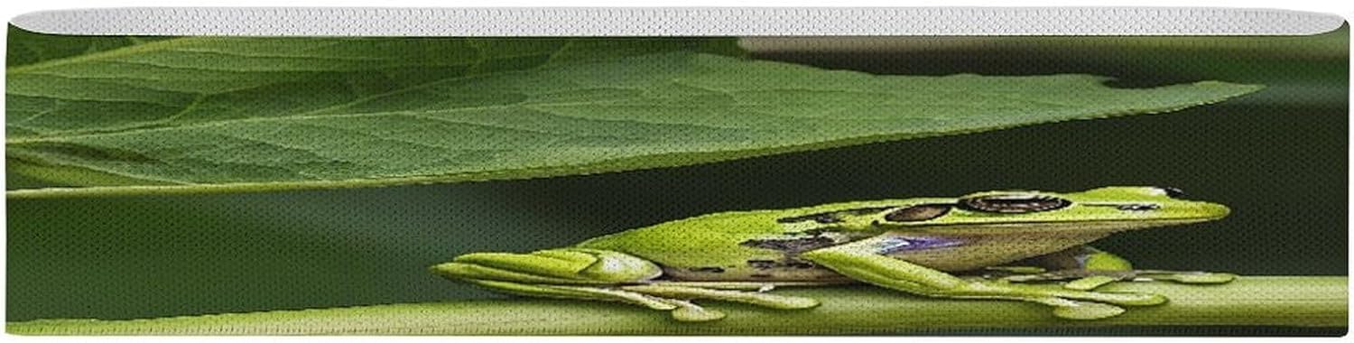 Non-Slip High Resistance Yoga Bands for Stretching, Extra Wide Exercise Bands for Women/Men, Peace Tree Frog Yoga Straps, Physical Therapy Stretch Straps for Home Gym, Pilates & Rehab