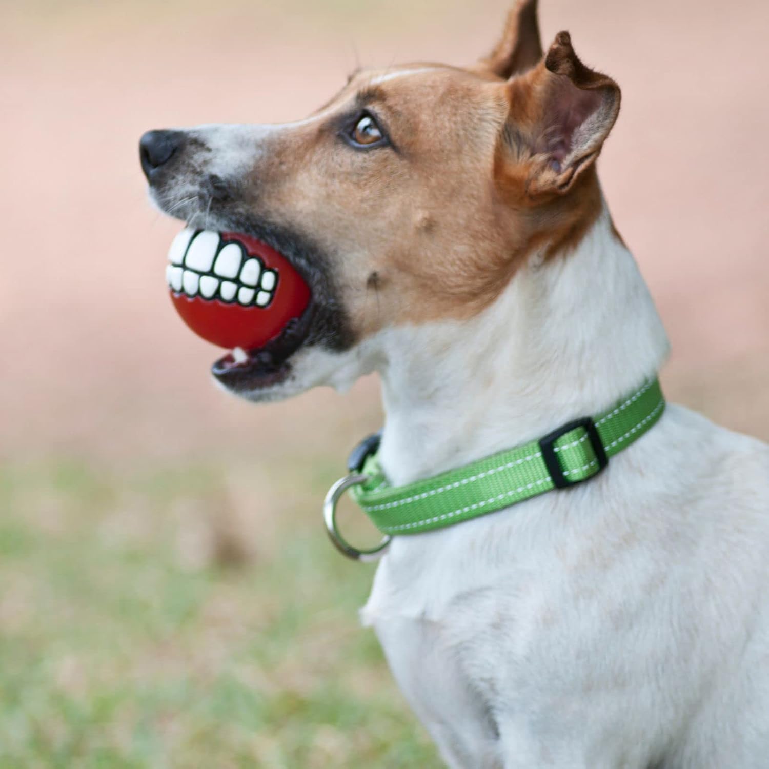Rogz Fun Dog Treat Ball in various sizes and colors, Small, Red