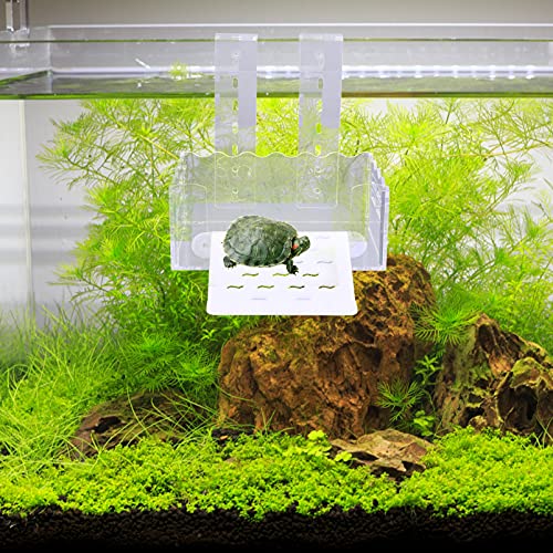 Balacoo Descansando Plataforma Basking Tartaruga Aquário Tanque Da Tartaruga Animal Limpar Doca Flut
