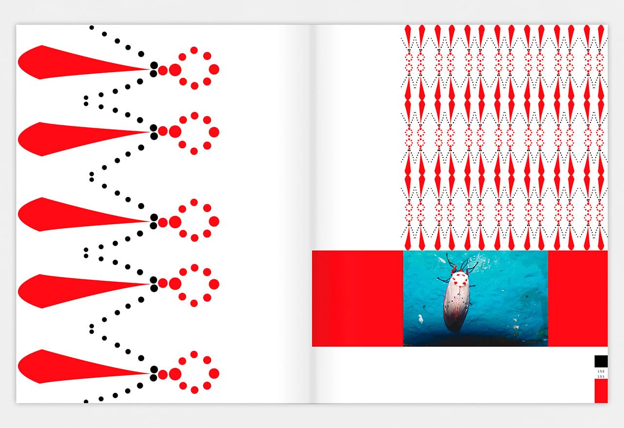 Pachanga. Grafikdesign-Inspirationen aus dem cloud forest.