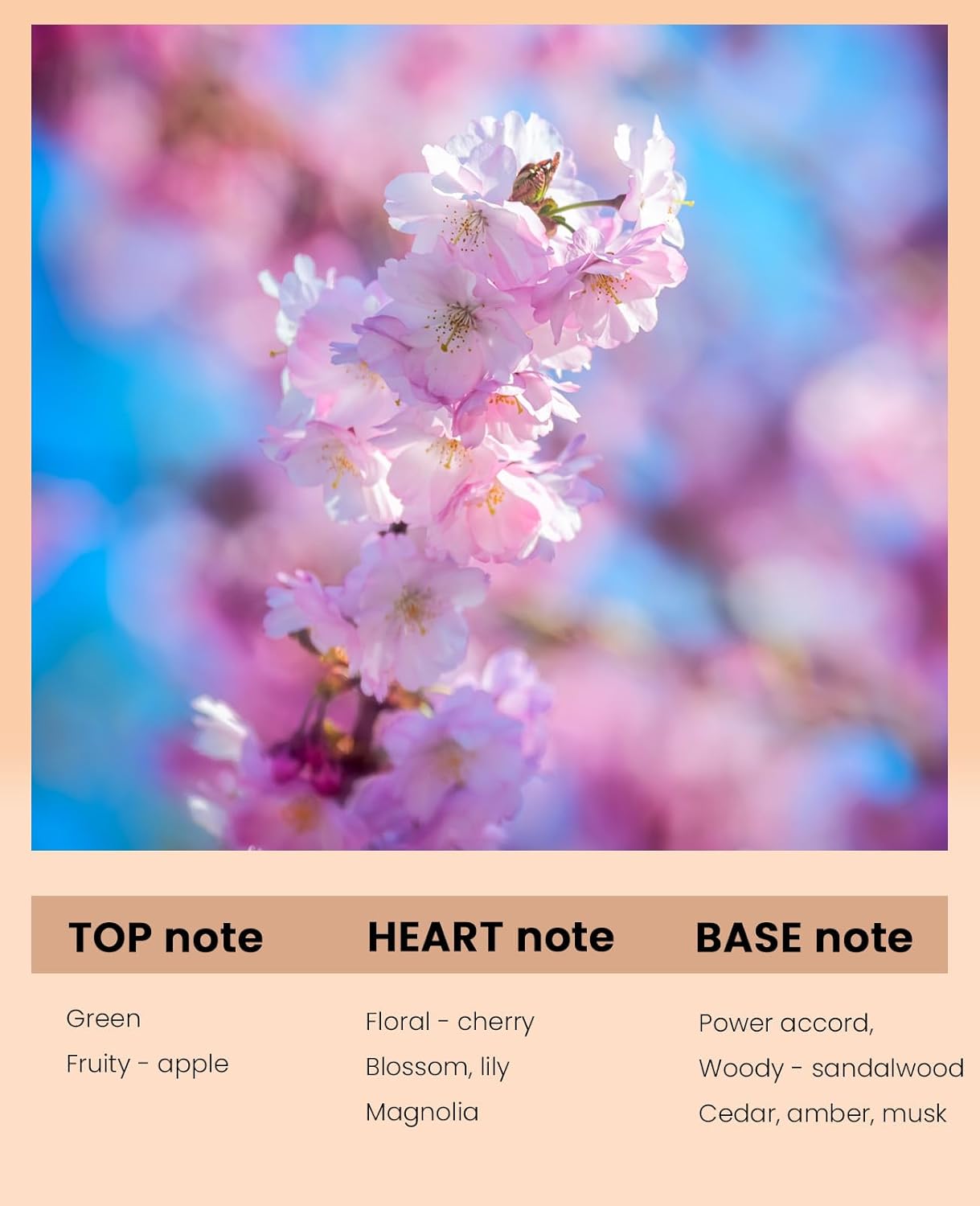 PUREAMOR Pheromone Perfume for Women, Cherry Blossom Perfumes, Airy Spring Floral and Fruity Fragrance,10ml Travel Size Pheromone Perfume Oil, Cherry Perfumes Gifts for Women(Cherry Blossom) - Image 2