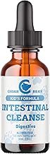 Cedar Bear - Intestinal Cleanse for Kids, Liquid Herbal Supplement for Detox and Digestive Cleanse with Natural Herbs, Alcohol-Free Gut Cleanse Drops for Children, 1 fl oz / 30 ml
