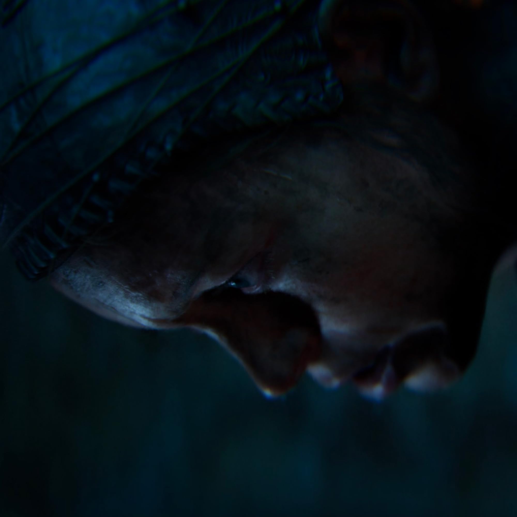 Senua’s Saga: Hellblade II | Xbox & Windows 10 - Codice download