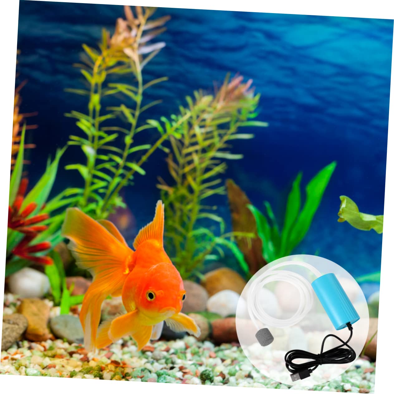 Balacoo Portable Mini Air Pump for Fish Tank Mute Energy Saving Compressor for Aquariums Outdoor Fishing Quiet Environments Compact Lightweight Design