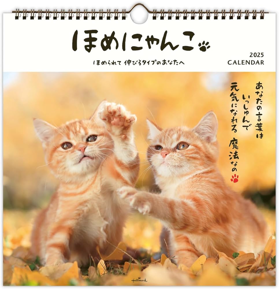 Amazon | ホールマーク 2025年 カレンダー 壁掛け 大 ほめにゃんこ 834