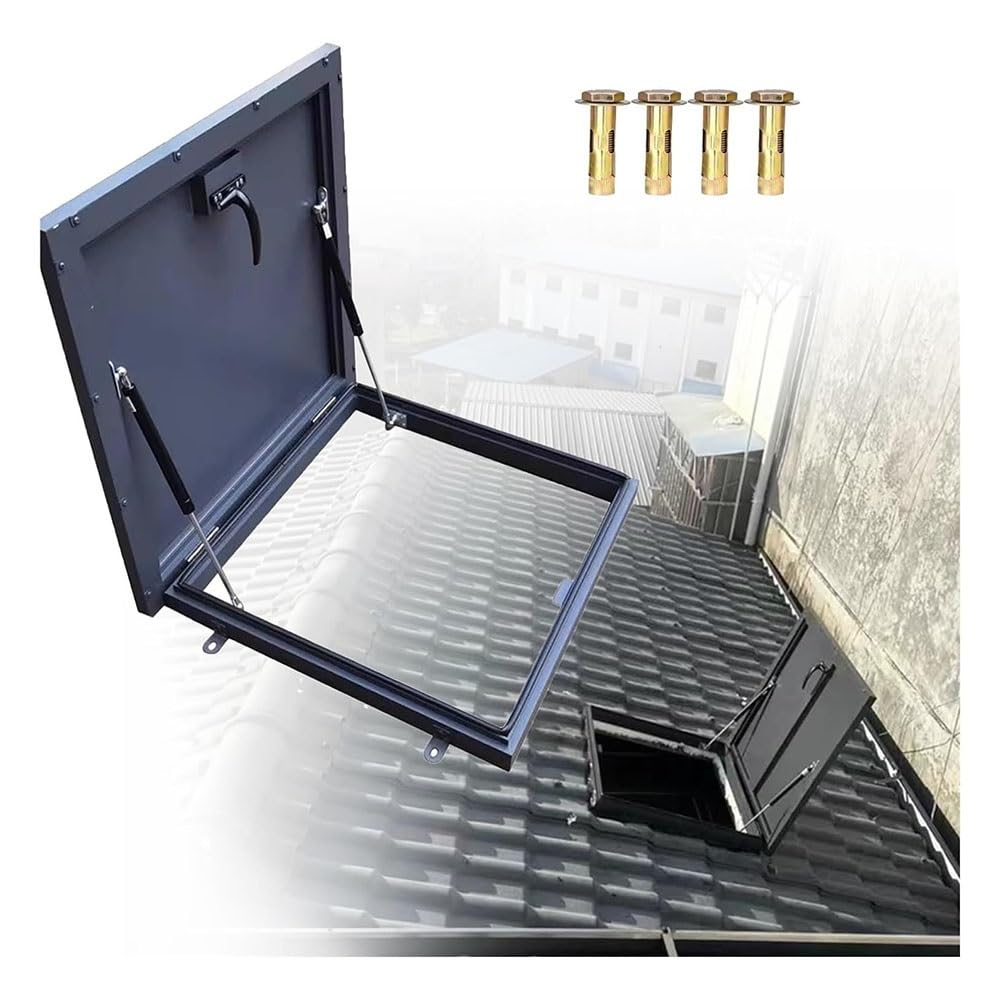 Trappe de toit pour entrepôts et bâtiments commerciaux porte d'accès métal 80x80 cm
