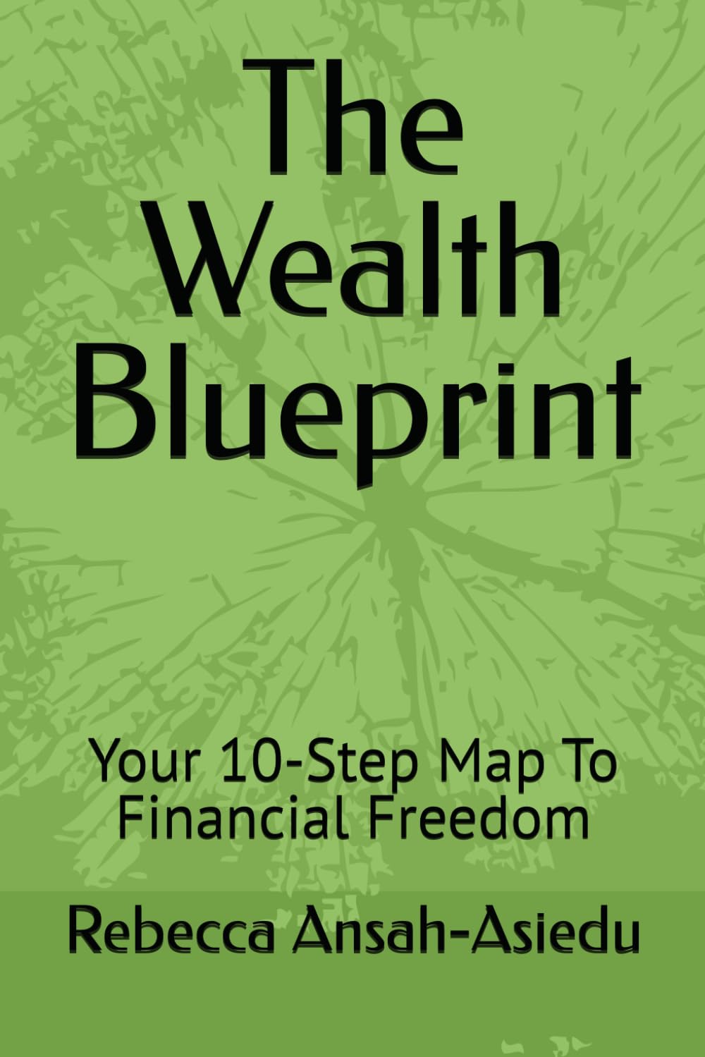 The Wealth Blueprint: Your 10-Step Map To Financial Freedom