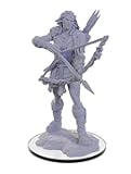 WizKids Pathfinder Deep Cuts: Wood Giant Pathfinder Battles Unpainted Miniatures