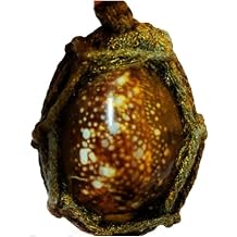 Magic Amulet Bia Kae Shell Embed Takrud & Pha Yant Wessuwan Giant God Talisman Cloth Mantra Thai Charm Amulet Protection Sickness Danger Evil Spirit Demon Ghost Blessing LP YangDam