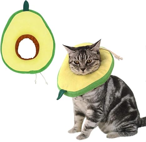 Amazon.com: Yufiova Collar de recuperación ajustable para gatos, lindo cono  de cuello de aguacate para la cabeza de gato, curación de heridas, cono  protector después de la cirugía, collares isabelinos para mascotas,