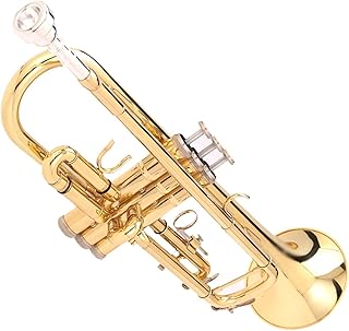 Student Brass Trumpet Brass Lacquer Gold Beginner B-flat Alto Entry Band Trumpet Instrument
