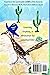 Down in the Desert a Rhyming and Counting Story with Alliteration Interactive Children's Picture Book Ages 2-6: Toddler, Preschool, Kindergarten Kids ... Cactus, Arizona's Sonoran Wildlife Animals