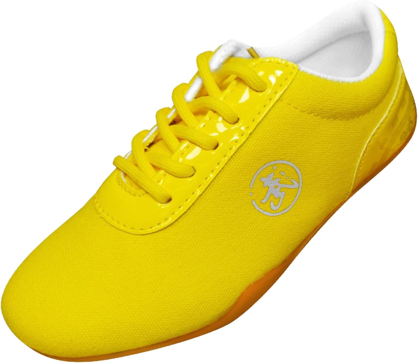 Taekwondo Shoes, Breathable Martial Arts Sneakers, Sport Boxing Kung Fu Taichi Lightweight for Adults and Children