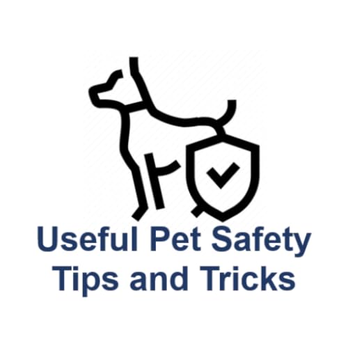 Useful Pet Safety Tips and Tricks