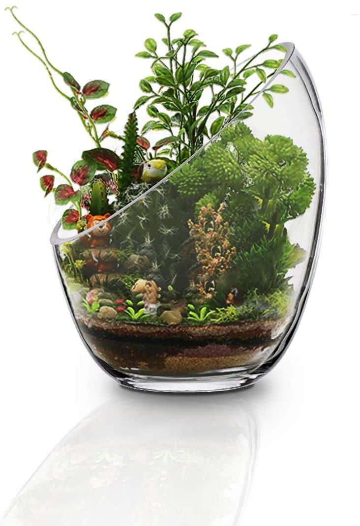 Zestaw do akwarium Przezroczysta, ukośna miska z bąbelkami, miska dla ryb i terrarium z roślinami, okrągła doniczka (7" x 5,5")