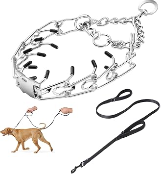 Prong Collar for Dogs,Dog Training Collar with One Professional Training Leash,Adjustable Pinch Collar with Quick Release Metal Buckle, No Pull Choke Collar for Small Medium Large DogsSilver, M/L