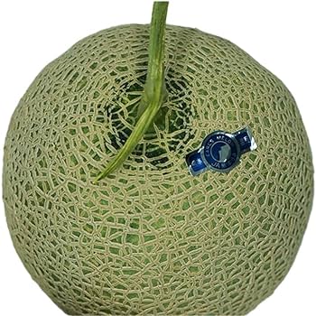 マスクメロンandアンデスメロン 品質が見える メロン ＼光センサーで計測 糖度16度以上！／ 【輝】等級