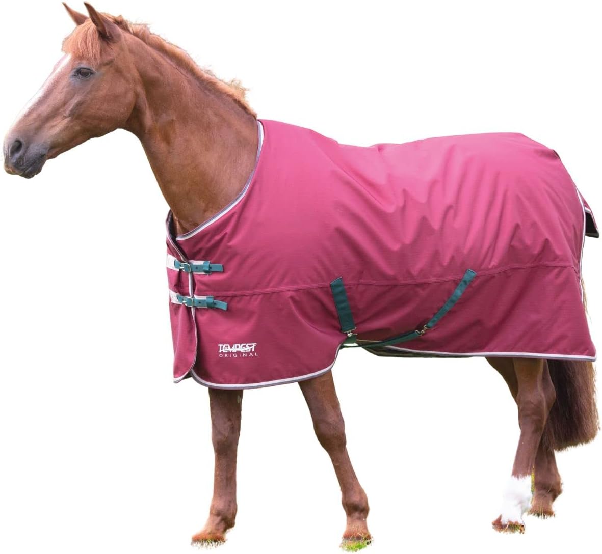 Shires Mini Highlander 200 Turnout Blanket for Miniature Horses - 200g Weight Maroon / 45