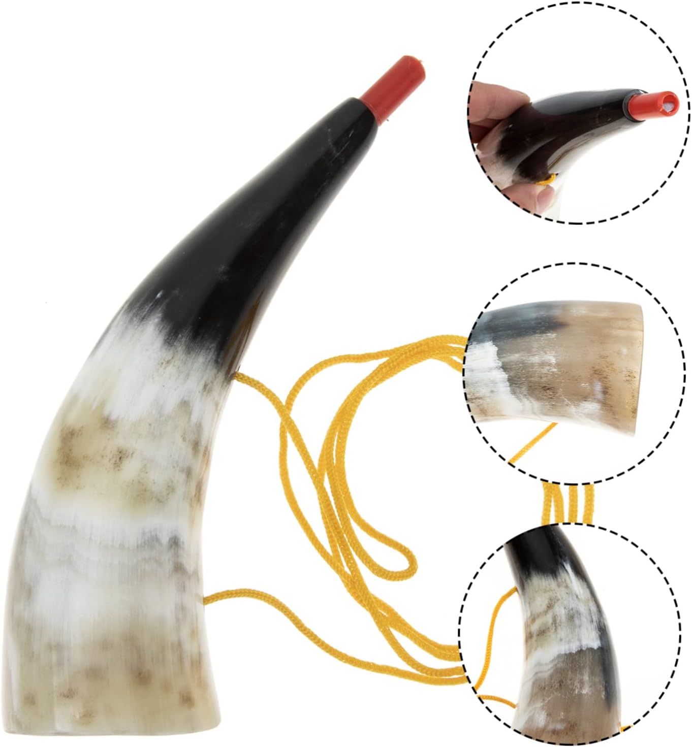 Milisten Pack of 3 Viking Horn, Natural Water Buffet Horn, Party Accessory, Sports Events, Cheering Calls, Horn Toy, Portable, Lightweight, for Children and Adults