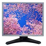 dell 19 inch monitor 4 3 Angoli di Visione: 178° orizzontali e verticali. Permette di vedere lo schermo da qualsiasi posizione senza perdita di qualità dell’immagine, ideale per postazioni condivise o ambienti luminosi.