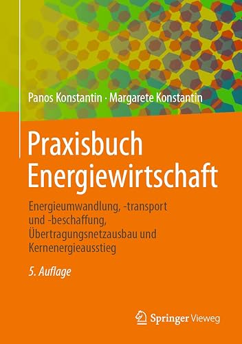 Praxisbuch Energiewirtschaft: Energieumwandlung, -transport und -beschaffung, Übertragungsnetzausbau und Kernenergieausstieg