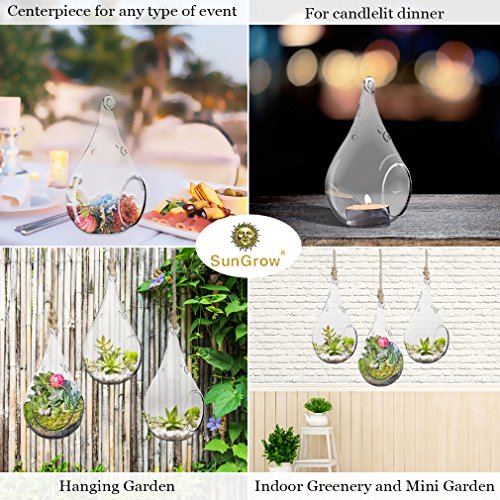 Sungrow Air Plant Teardrop Hanging Terrarium, 5.5 X 3 Inches, Crested Gecko Planter, Mini Hanging Orbs, Boron Silicon Glass, 3 Pcs Per Pack #TOP4