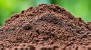 Iowa Black Dirt - Best Topsoil on The Planet - from Our Lucas County Iowa Farm (5 Pounds)