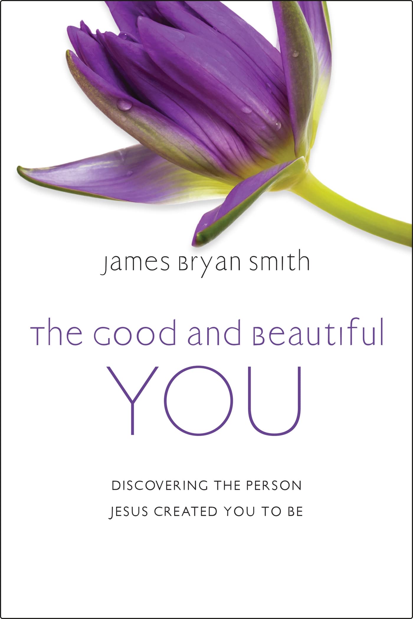 The Good and Beautiful You by James Bryan Smith HARDBACK 9781399802918