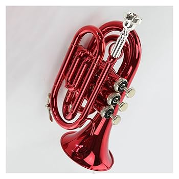 Kaerntner ポケットトランペット 金管楽器 音出し確認済み Kaerntner ポケットトランペット 金管楽器 音出し確認済み